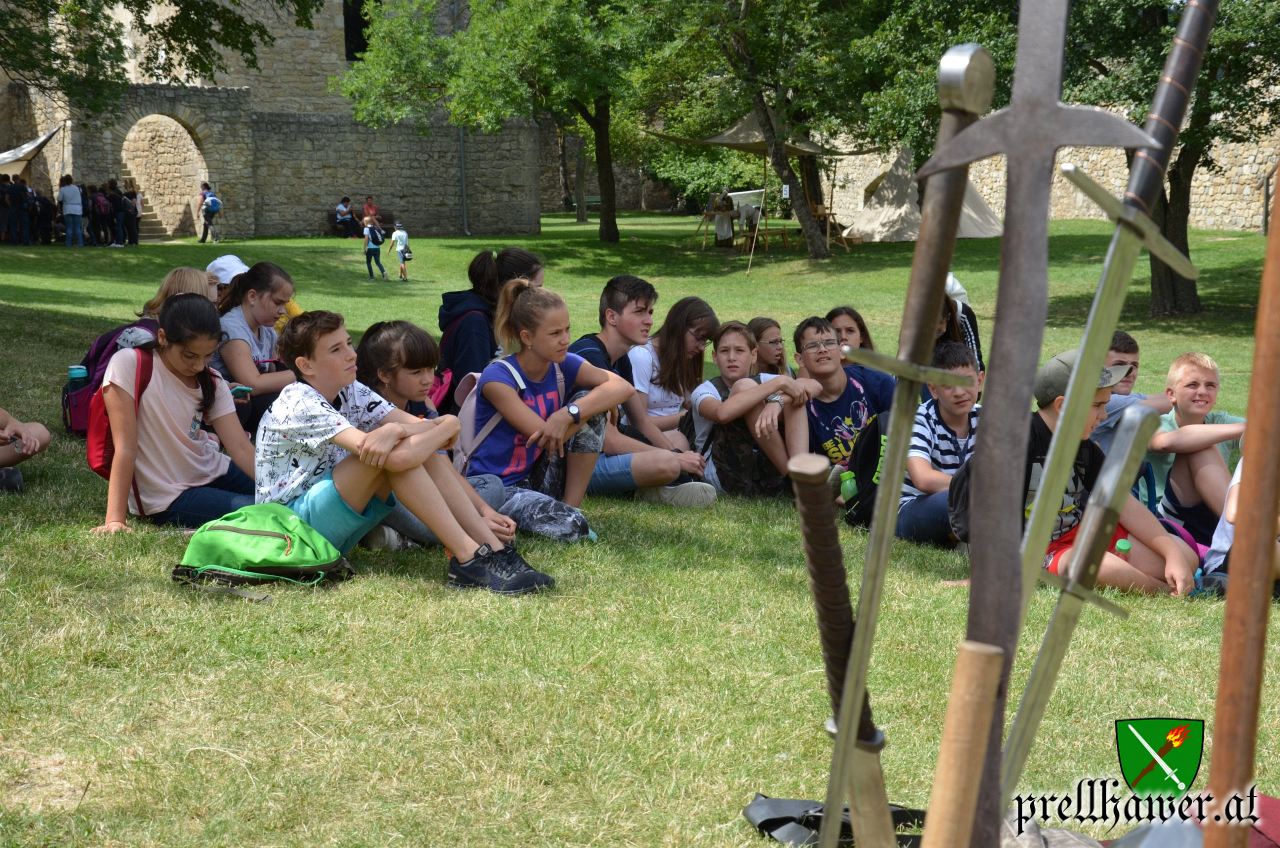 Prellhawer Hainburg 20180625 27 DSC 0138 2560px