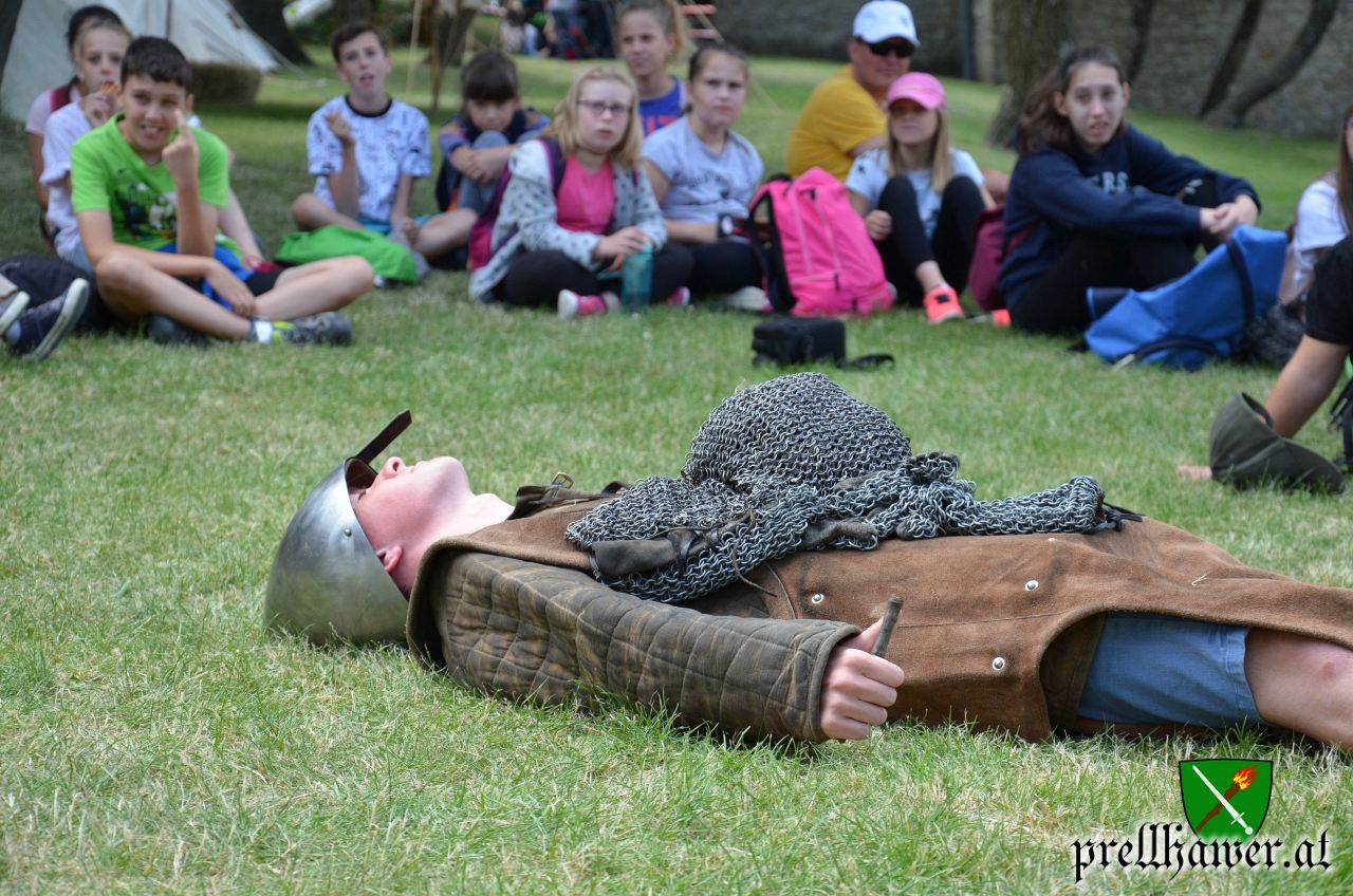 Prellhawer Hainburg 20180625 27 DSC 0196 2560px